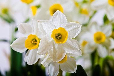 消息称Switch《银河战士Prime三部曲》已经开发完毕